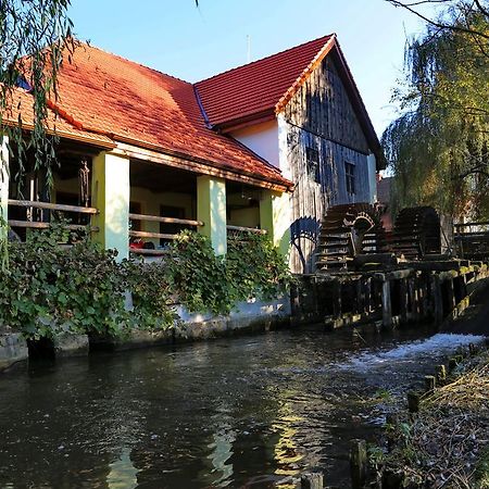Pensiunea Moara Lu Antone Orastioara de Sus Exterior foto